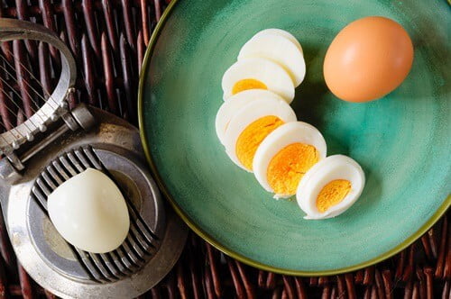 Can Gerbils Eat Eggs?