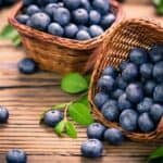 can gerbils eat blueberries?