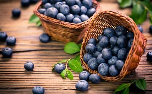 can gerbils eat blueberries?