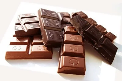 can gerbils eat chocolate?