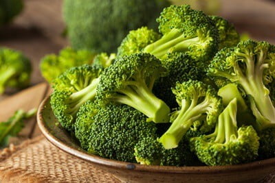 can gerbils eat broccoli?